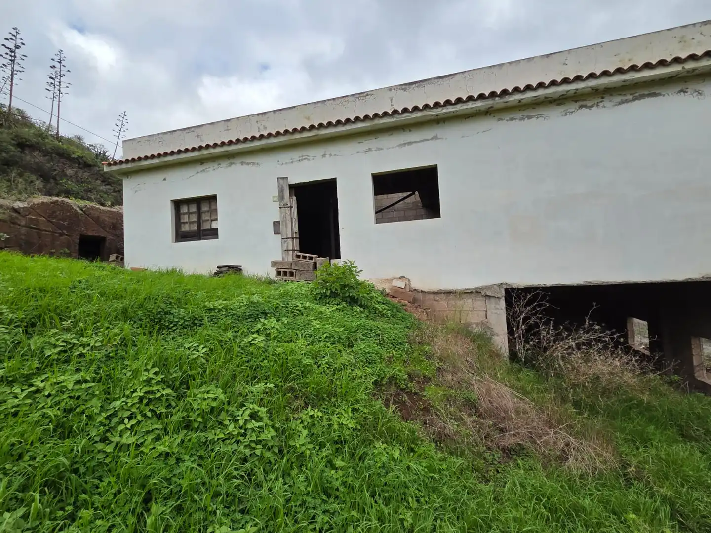 Vista exterior de Finca rústica en venta en Tegueste