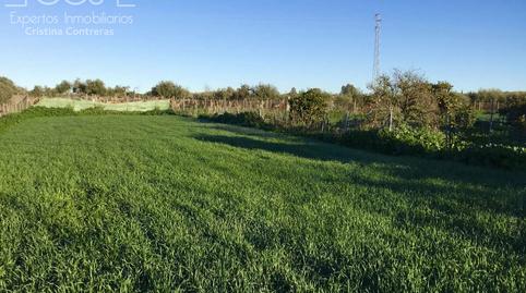 Photo 4 of Country house for sale in Pilas, Sevilla