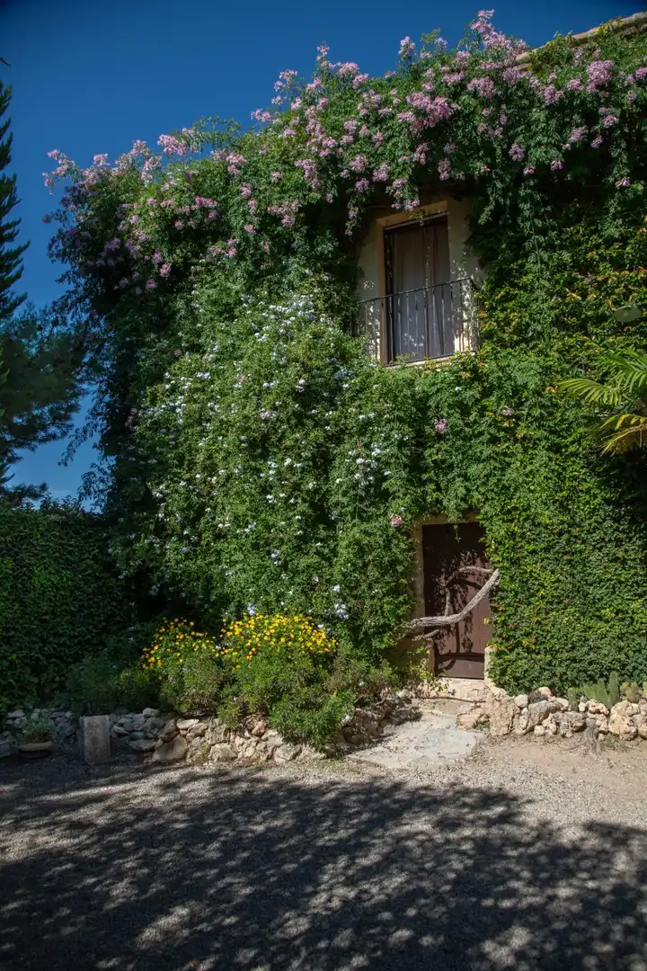 Casa rústica amb terrassa en venda a Sant Jaume dels Domenys, imagen 6