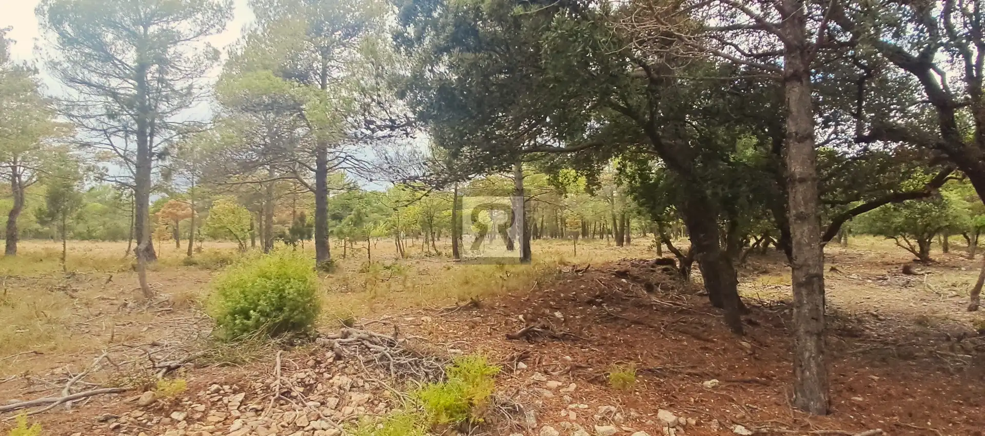 Terrain rustique à vendre à TV-7041 12, imagen 4