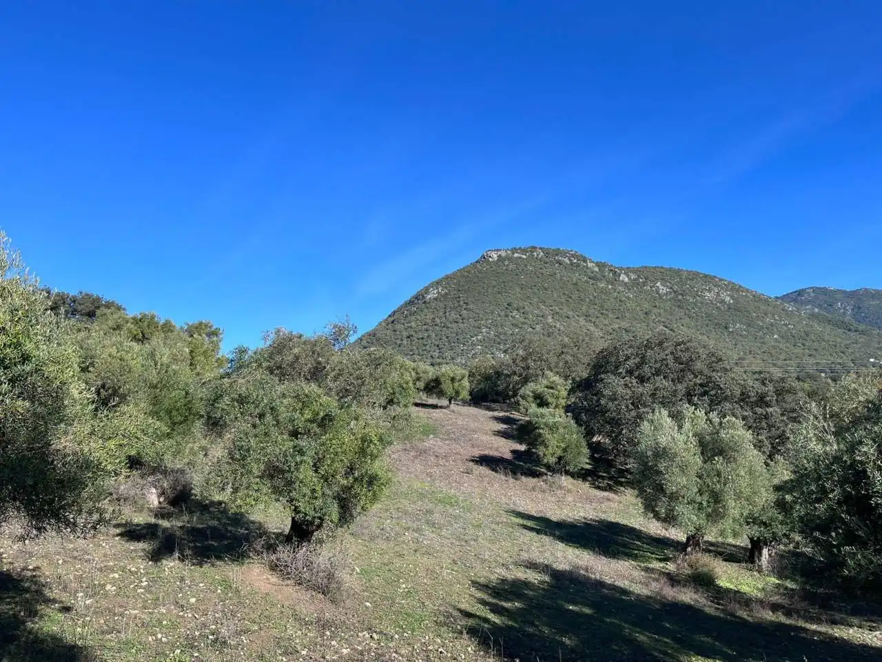 Terreno rustico in vendita a El Bosque, imagen 5