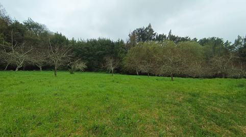 Foto 4 de Finca rústica en venda a Moeche, A Coruña