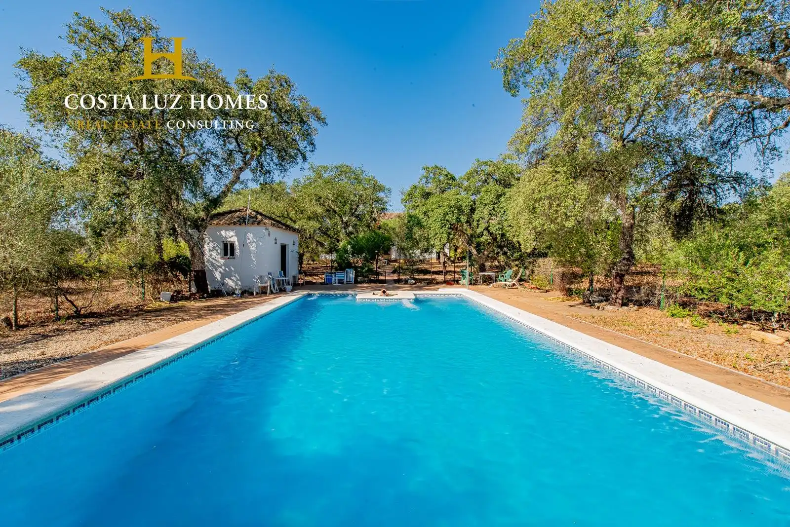 Casa rústica amb piscina en venda a Arcos de la Frontera, imagen 6