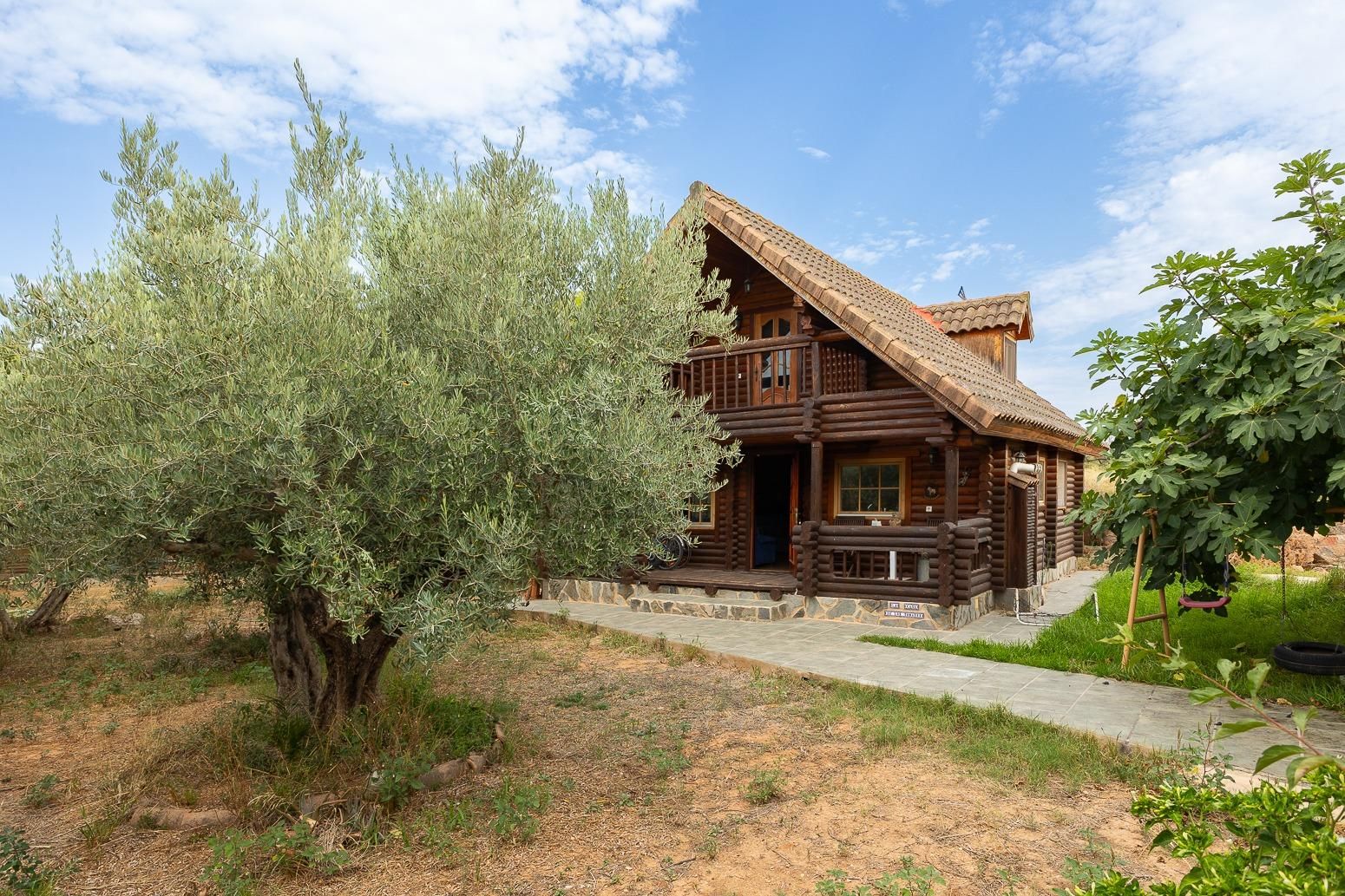 Exterior view of House or chalet for sale in Cheste  with Private garden