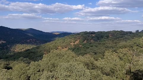 Terreno Rústico en venta en Cortegana., immagine 3