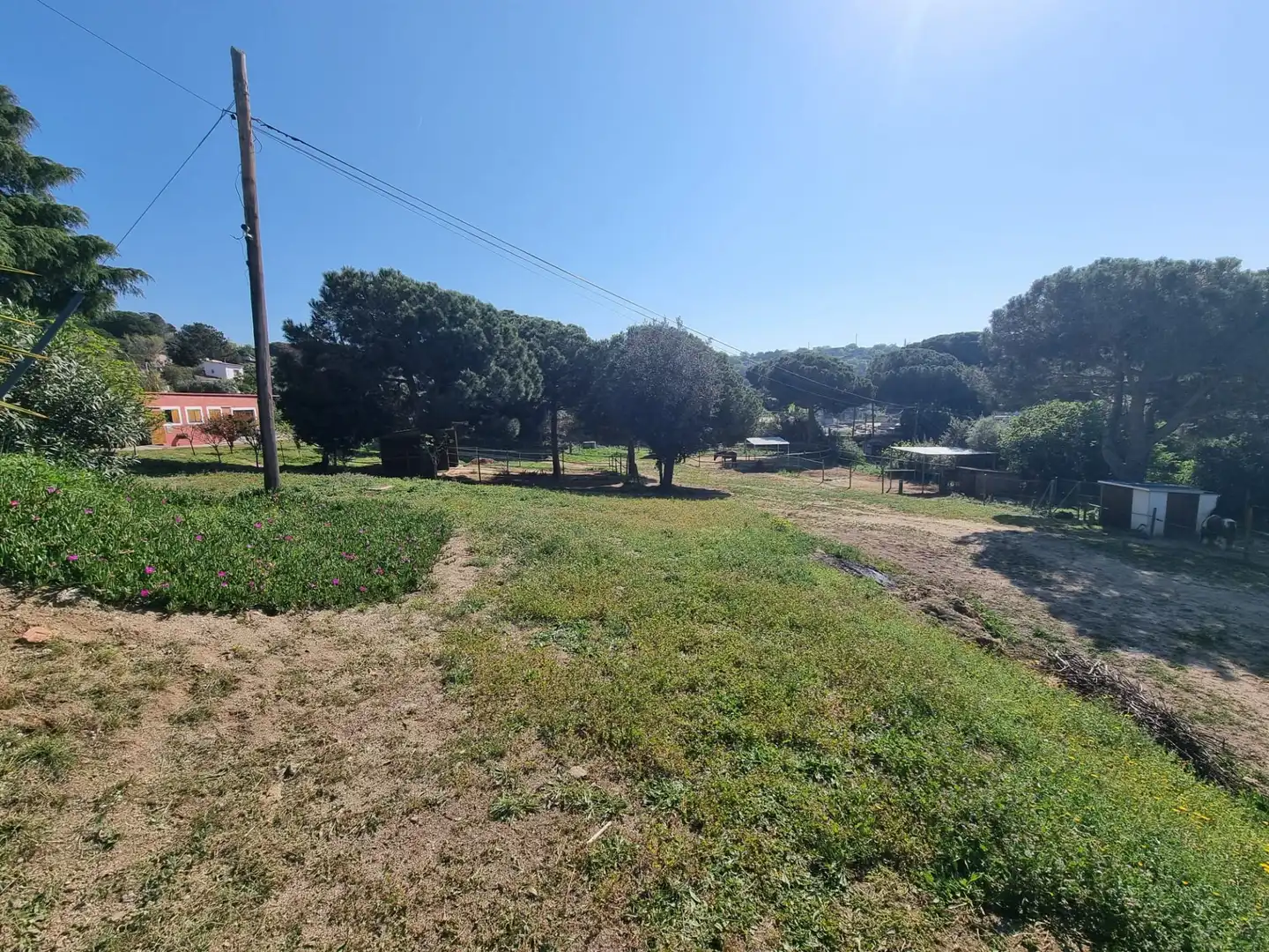 Casa o xalet en venda a Argentona Est