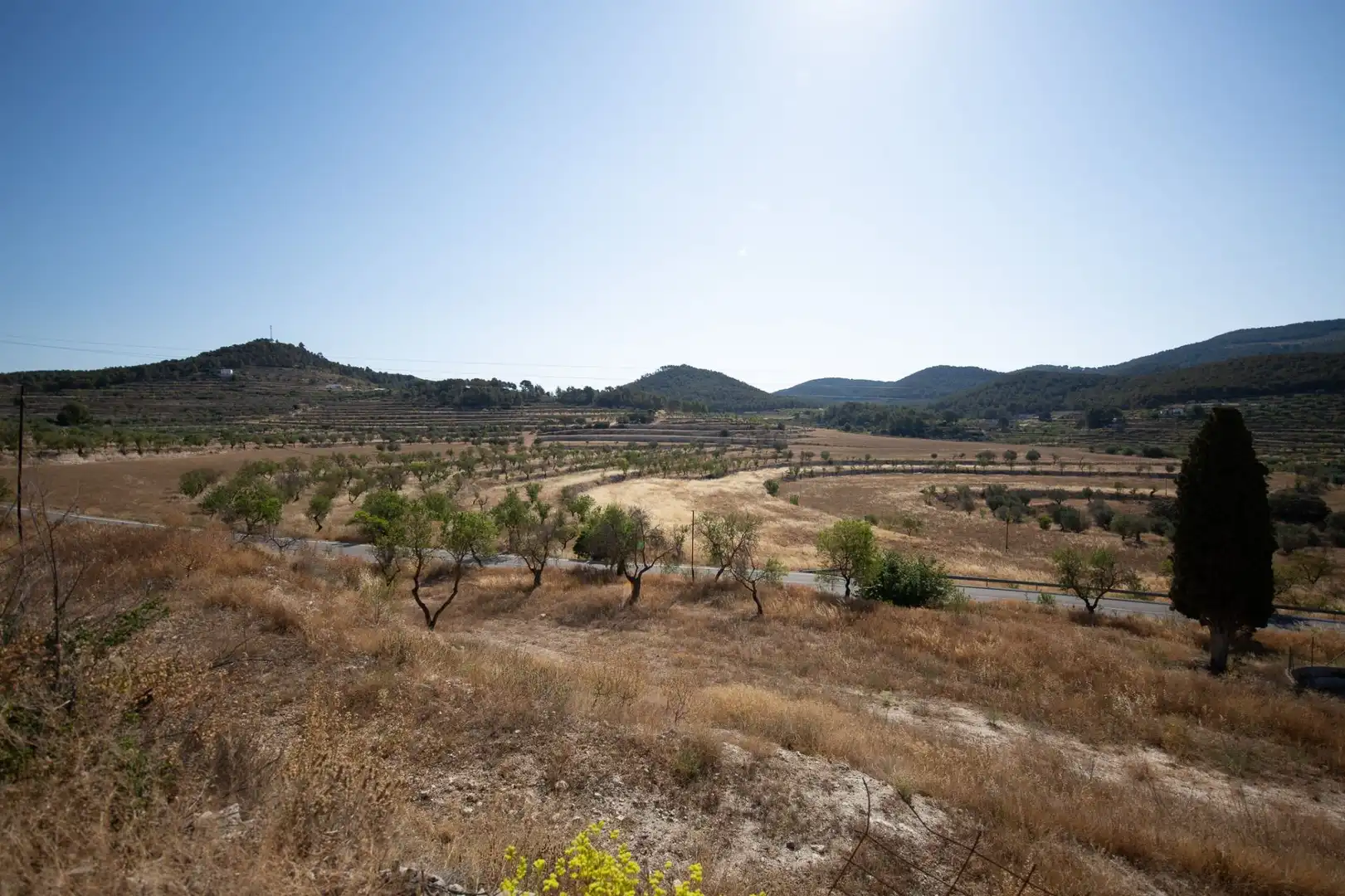 Casa rústica con jardín en venta en Torremanzanas / La Torre de les Maçanes, imagen 32