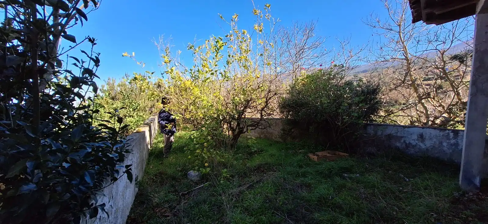 Finca rústica en venta en Los Realejos con Jardín privado y Terraza
