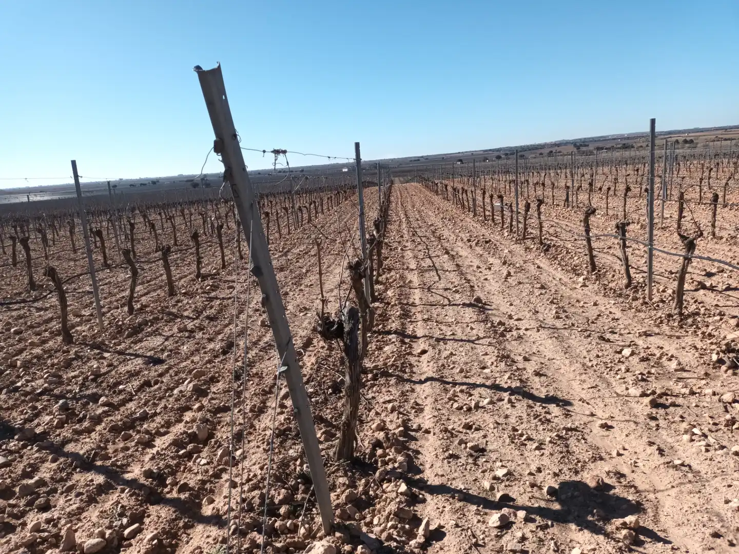 Terrenys i solars en venda a El Toboso, imagen 4