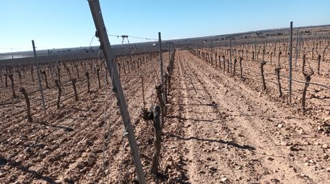 Photo 4 of Land for sale in El Toboso, Toledo