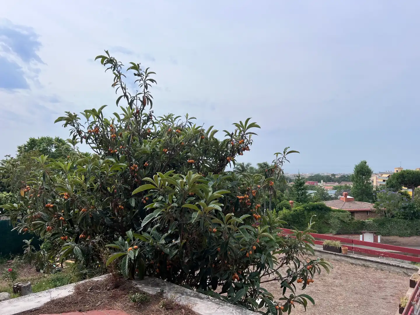 Casa o xalet de lloguer en Vilassar de Dalt amb Calefacció, Jardí privat i Parquet