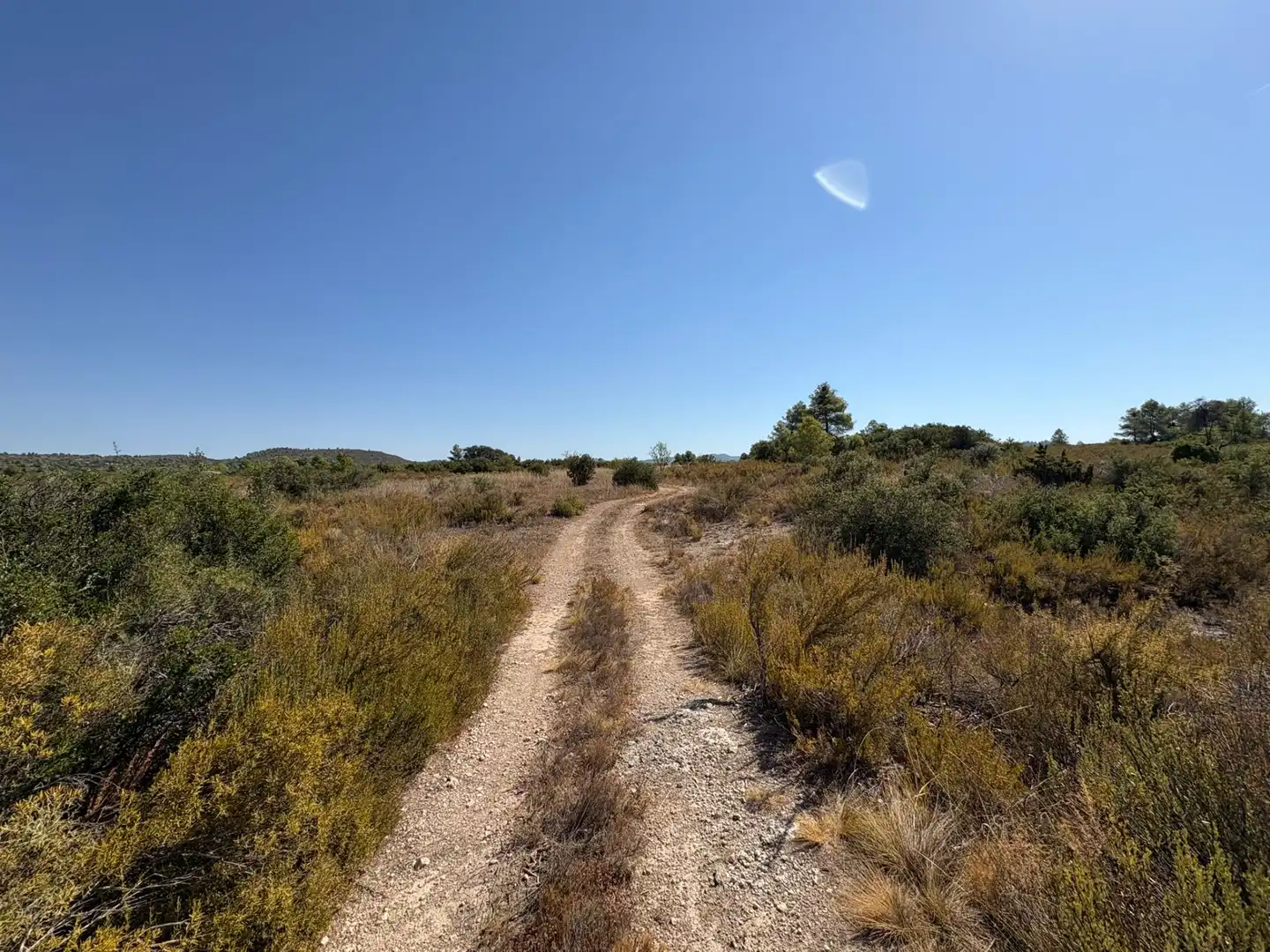 Terreno rustico in vendita a Cervià de Les Garrigues, imagen 5