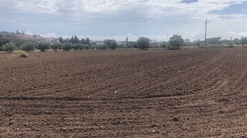 TERRENO  CALDES DE MONTBUI, imatge 5