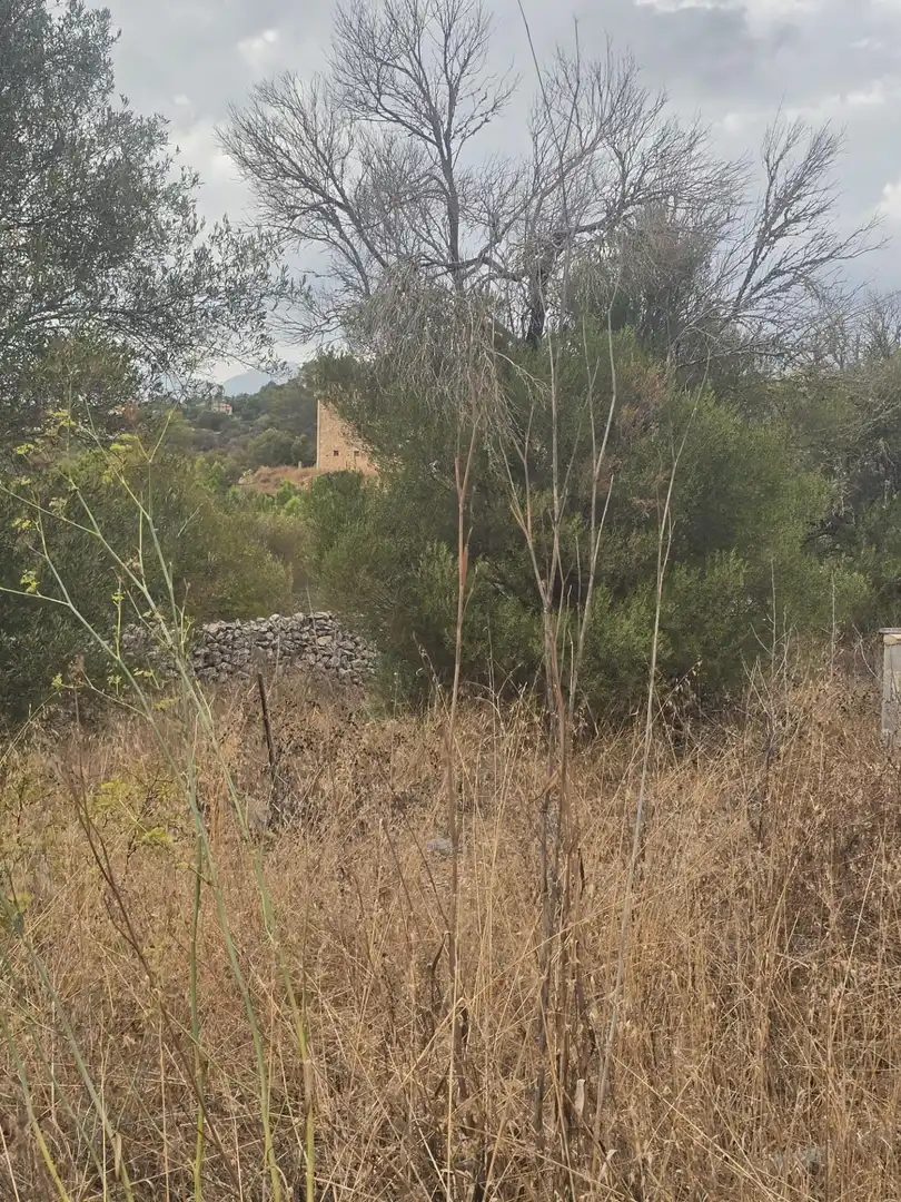 Finca rústica en venda en Marratxí amb Terrassa