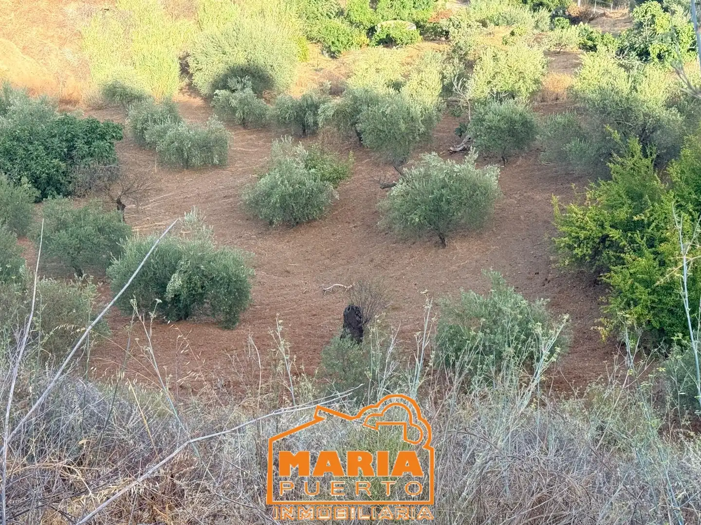 Terreno rustico in vendita a Almogía, imagen 19