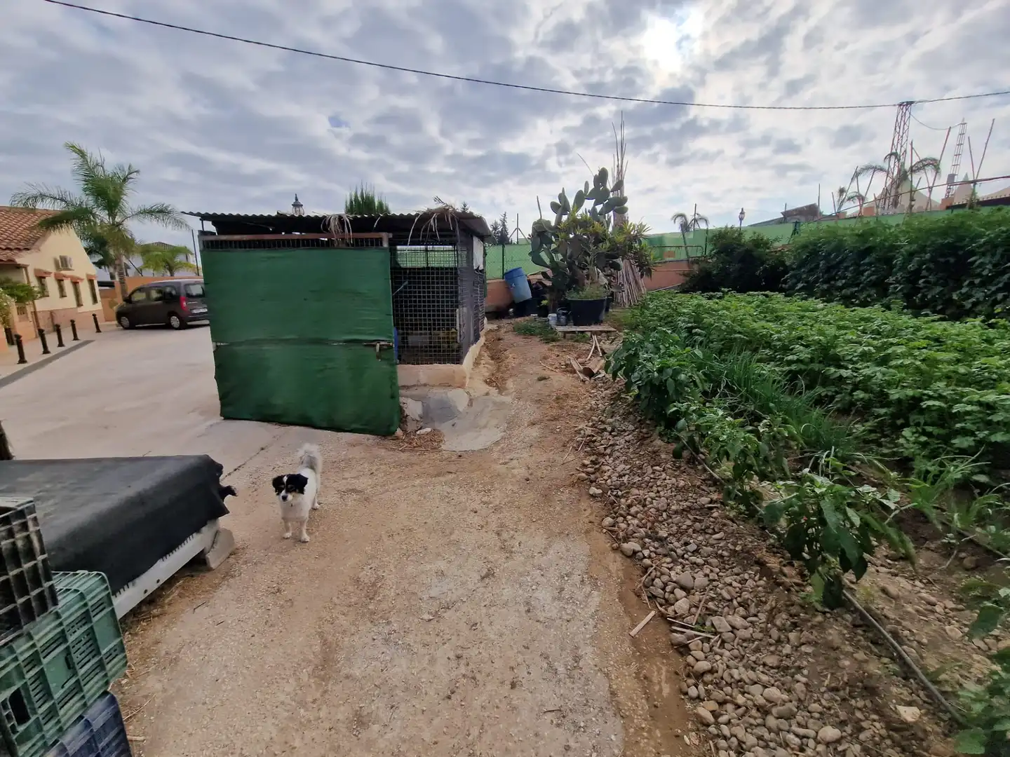 Terreno rustico in vendita a El Romeral - Peñón de Zapata, imagen 43