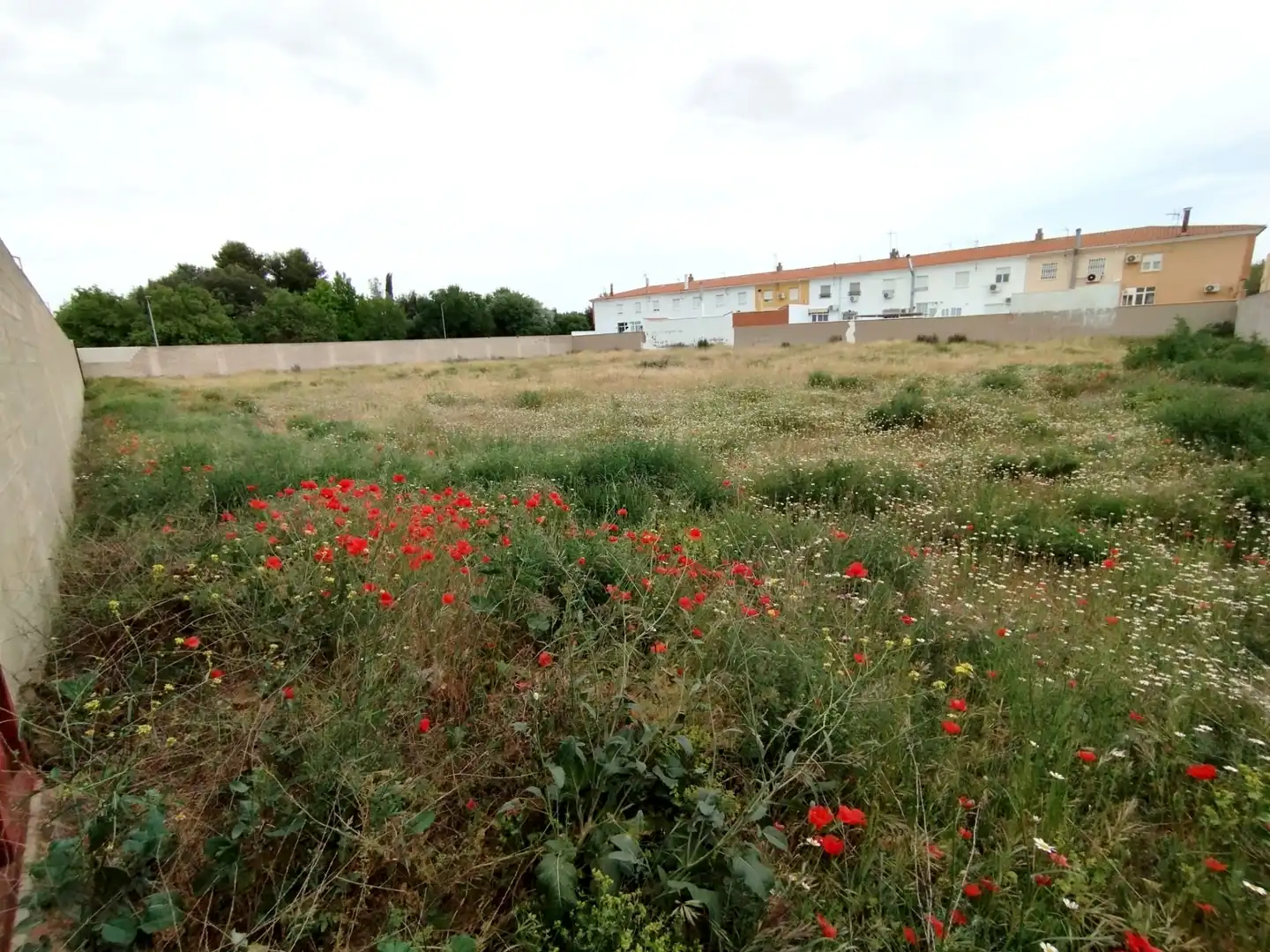 Terreny residencial en venda a Calle la Paz, imagen 18