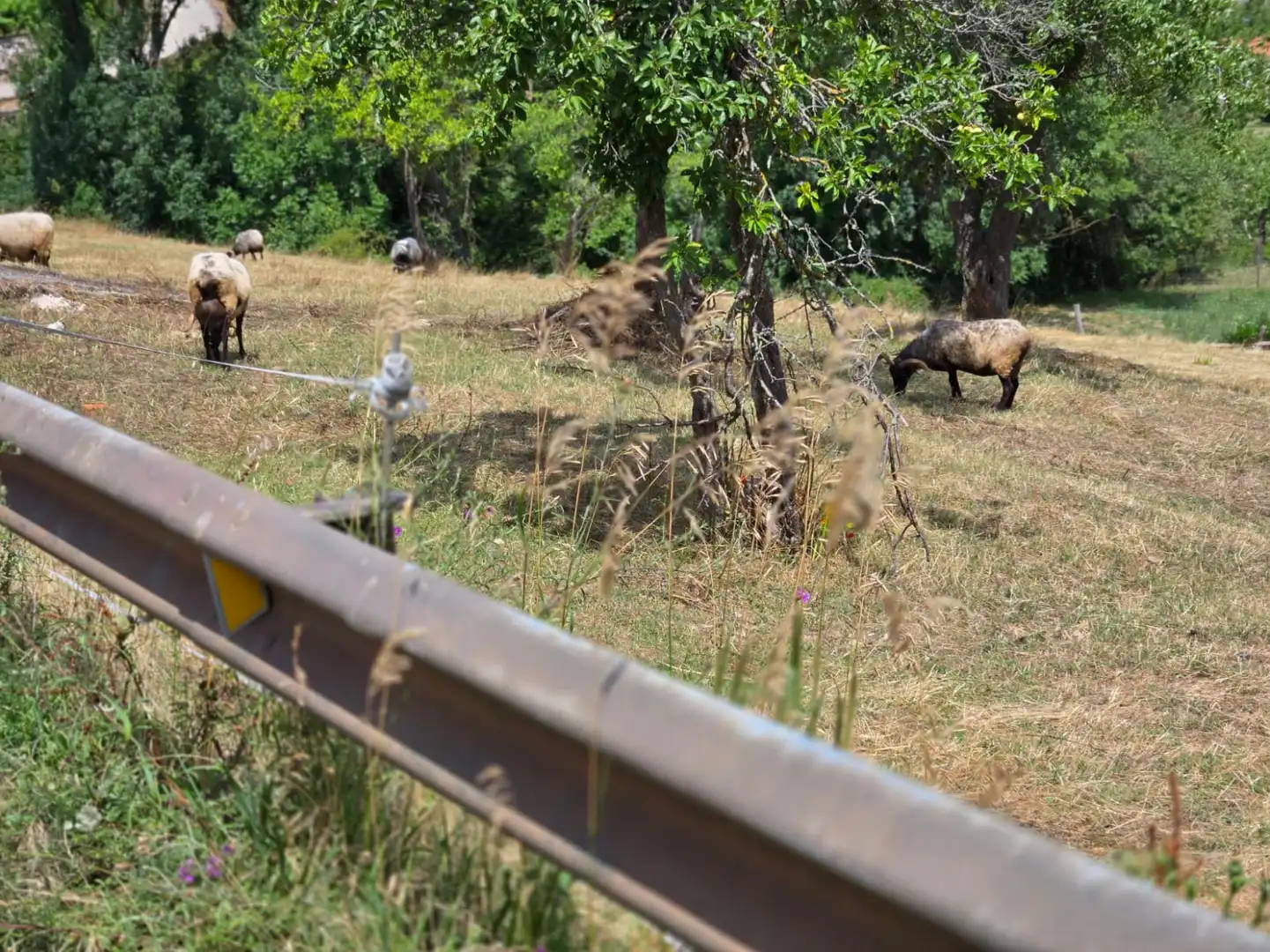 Terreno rustico in vendita a Cabezón de Liébana - CABARIEZO, imagen 4