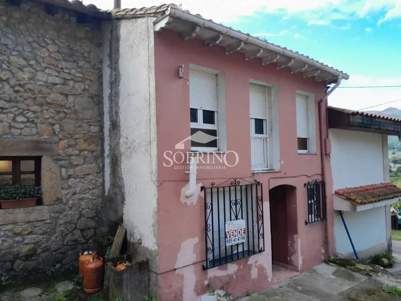 Vista exterior de Casa o chalet en venta en Peñamellera Baja con Jardín privado