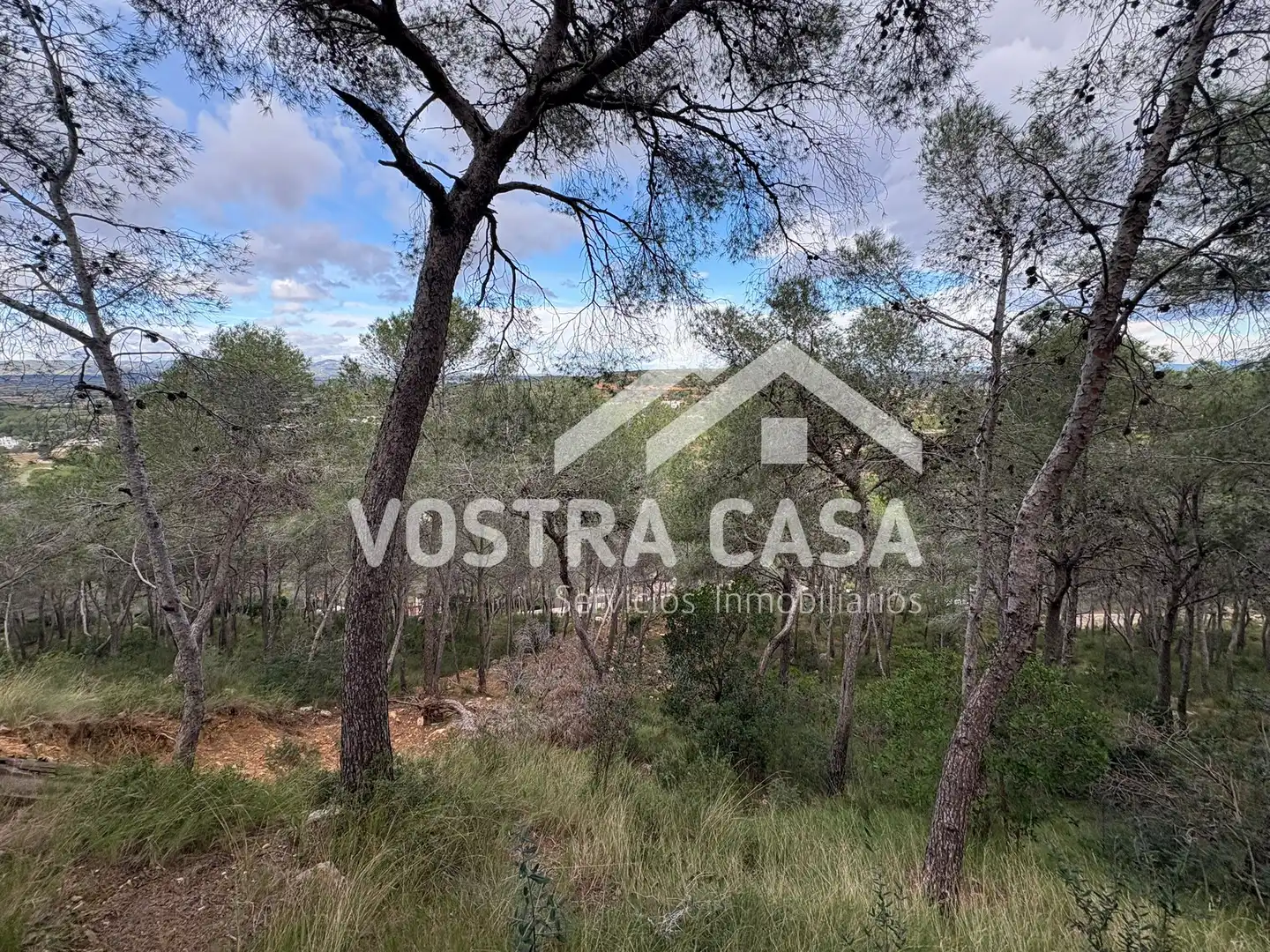 Terreno en venta en Chiva