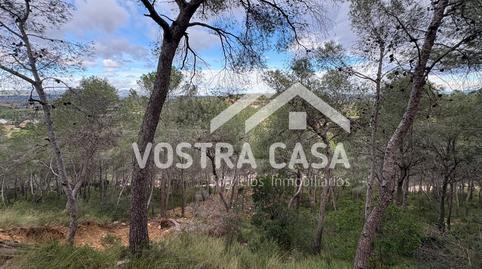 Foto 5 de Terreno en venta en Dos, -1, El Bosque, Chiva