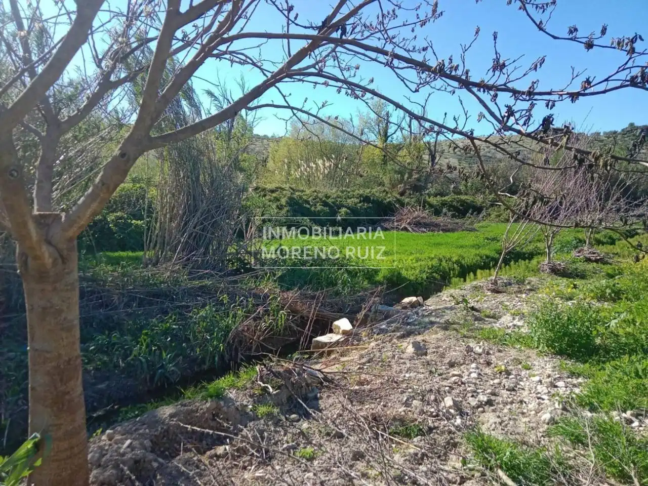 Terreny residencial en venda a Luque, imagen 5