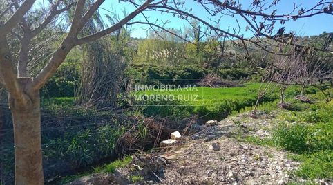 PARCELA PARA REGREO A 4 MINUTOS DE BAENA. POR SOLO 16.000, immagine 5