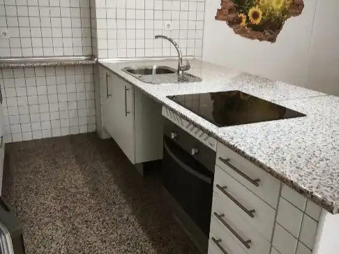 Kitchen of Flat for rent in Centro