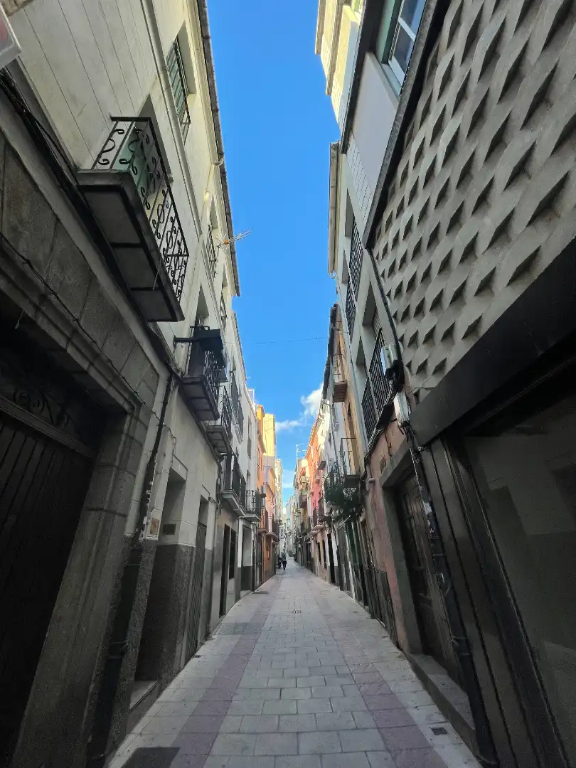 Immobles singulars en venda a Calle Talavera