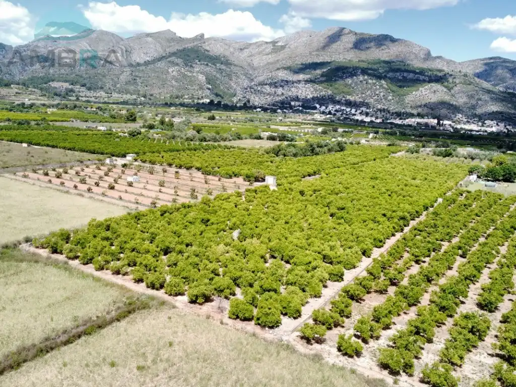 Rural land for sale in Partida Garroferal, imagen 7