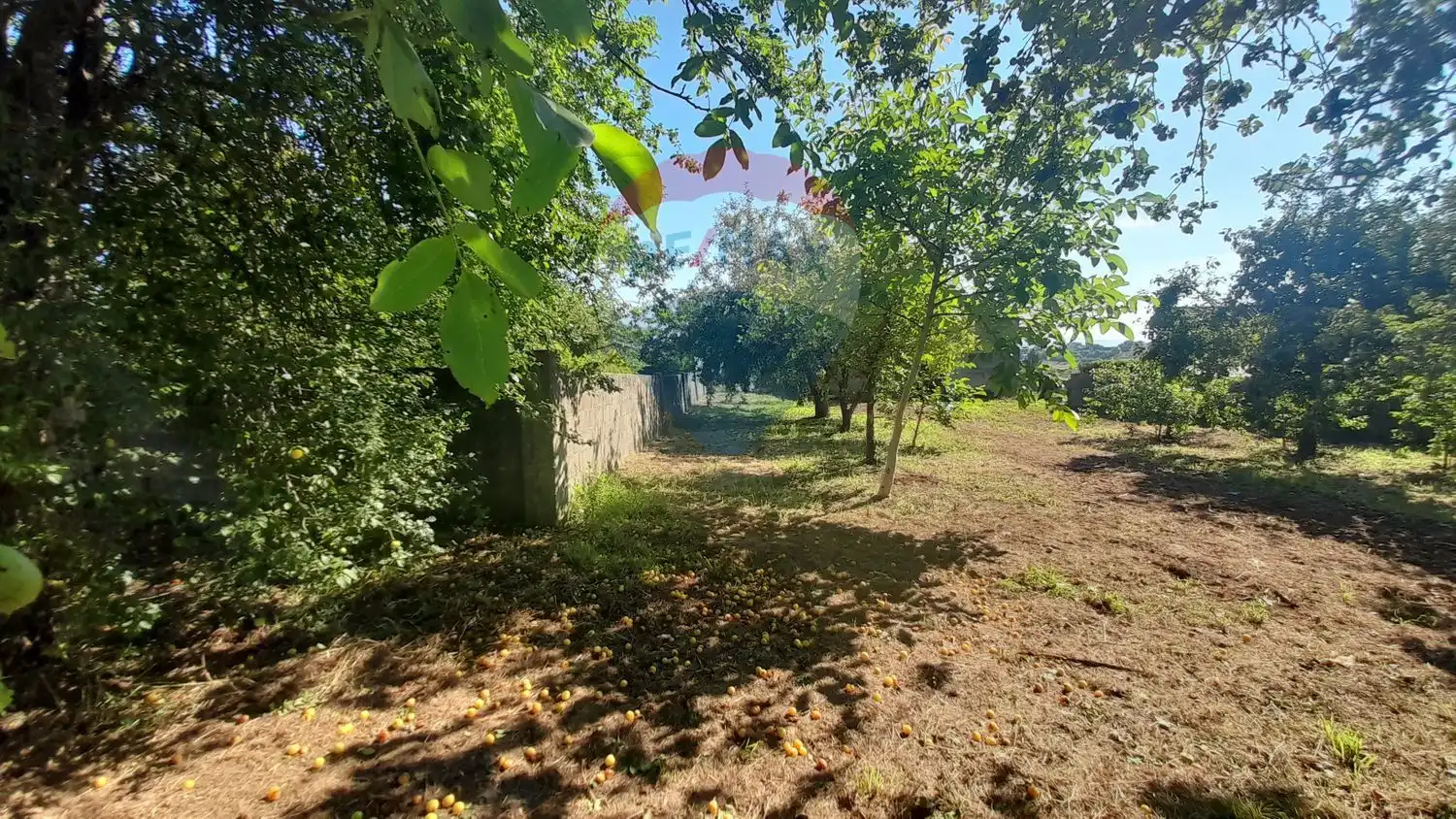 Rural land for sale in Aldea Seixeda 0