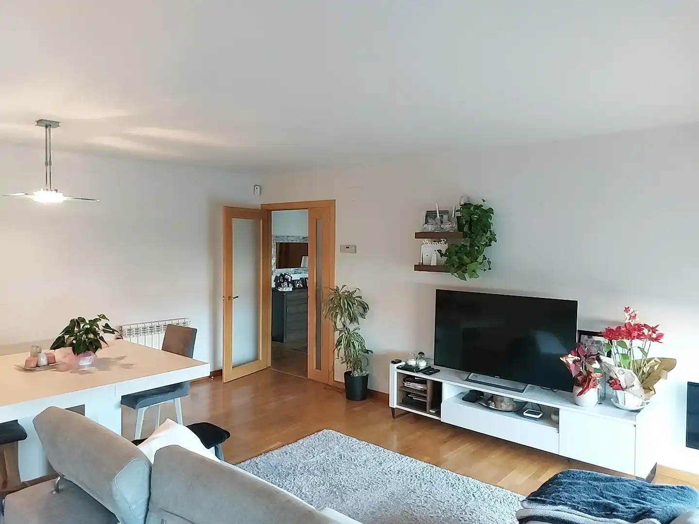 Sala d'estar de Pis de lloguer en Girona amb Aire condicionat, Calefacció i Jardí privat