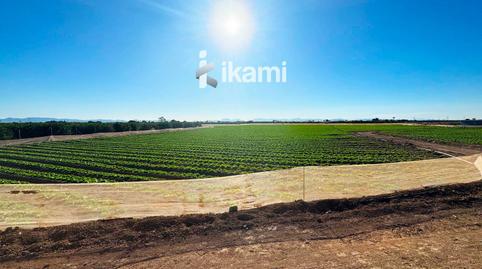 Foto 2 de Terreno en venta en 36, Dolores de Pacheco - Santa Rosalía, Murcia