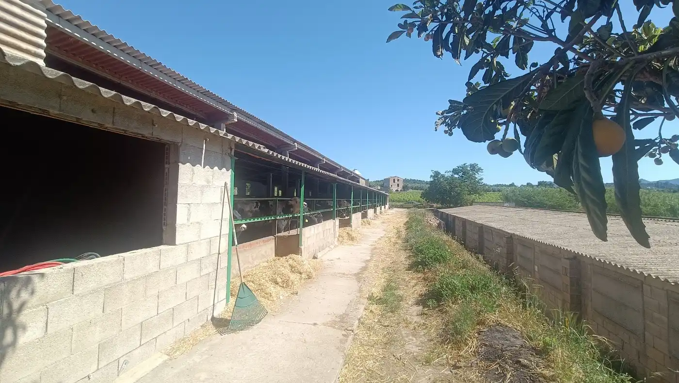 Vista exterior de Nau industrial en venda en Marçà