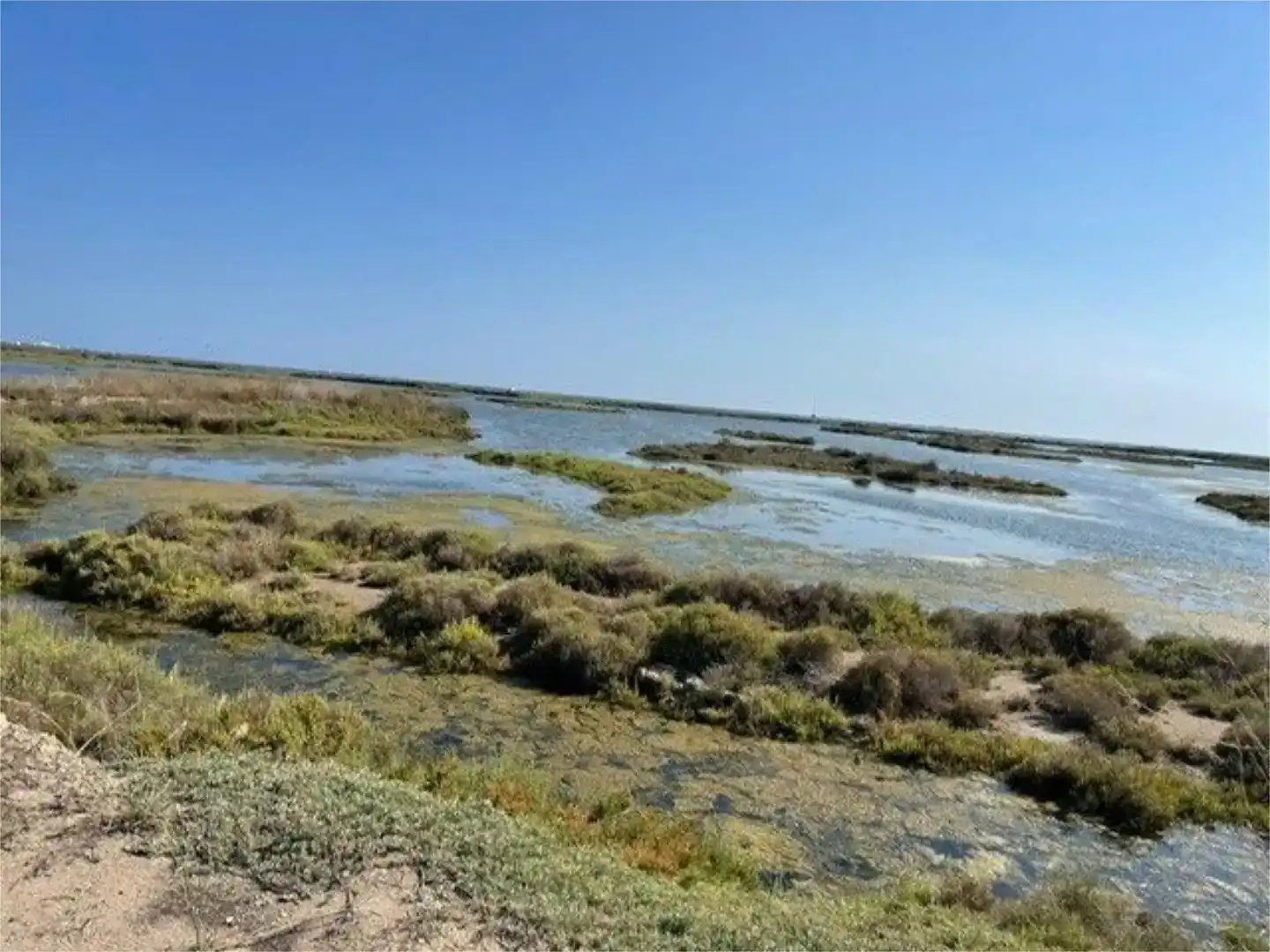 Casa o xalet en venda en Amposta amb Aire condicionat i Piscina