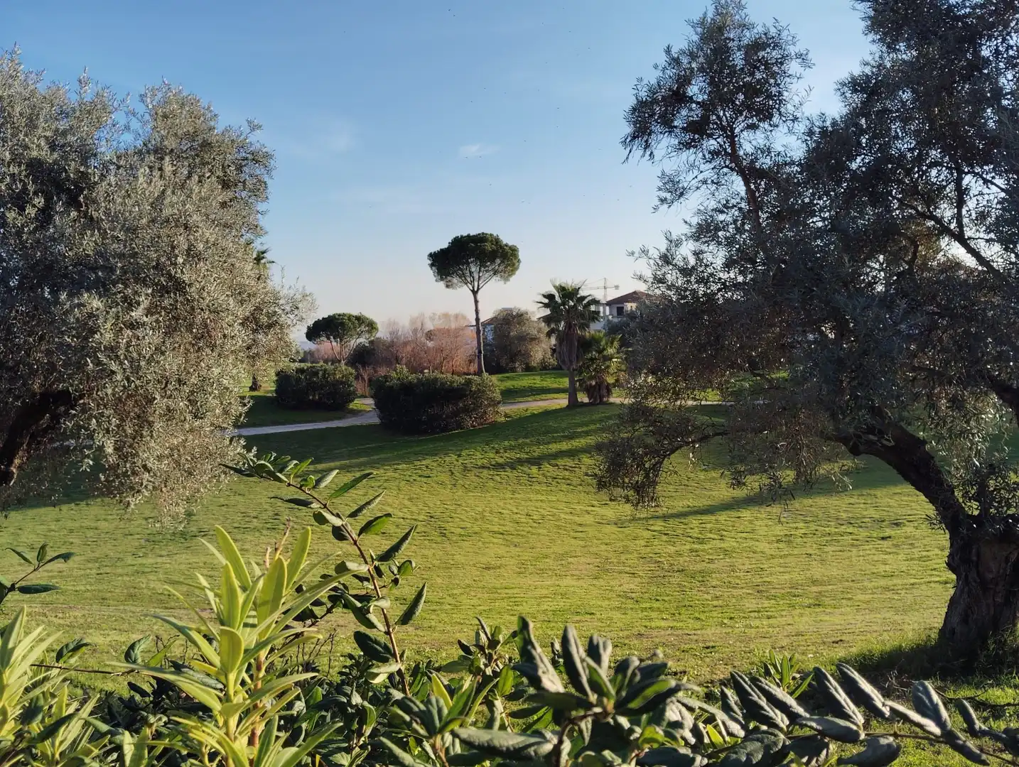Jardín de Casa o chalet en venta en Guillena con Aire acondicionado, Calefacción y Jardín privado