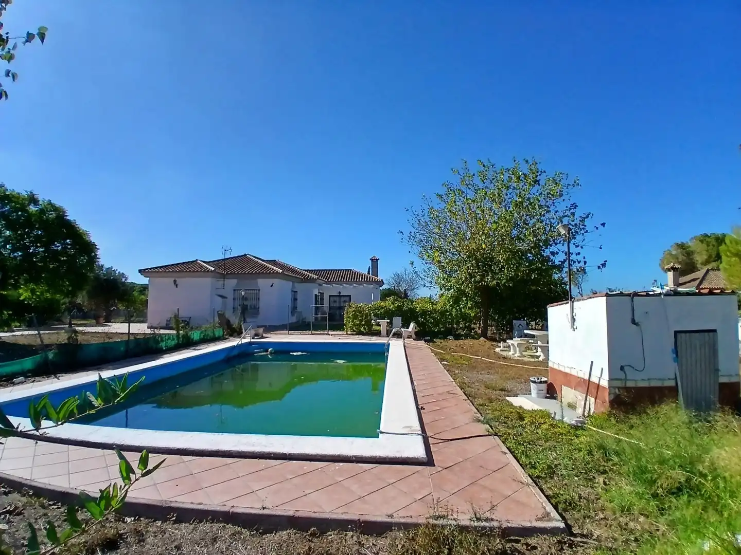 Piscina de Casa o chalet en venta en Puerto Real con Piscina