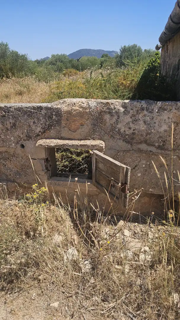 Rustikales Grundstück zum Verkauf in Llucmajor pueblo, imagen 3