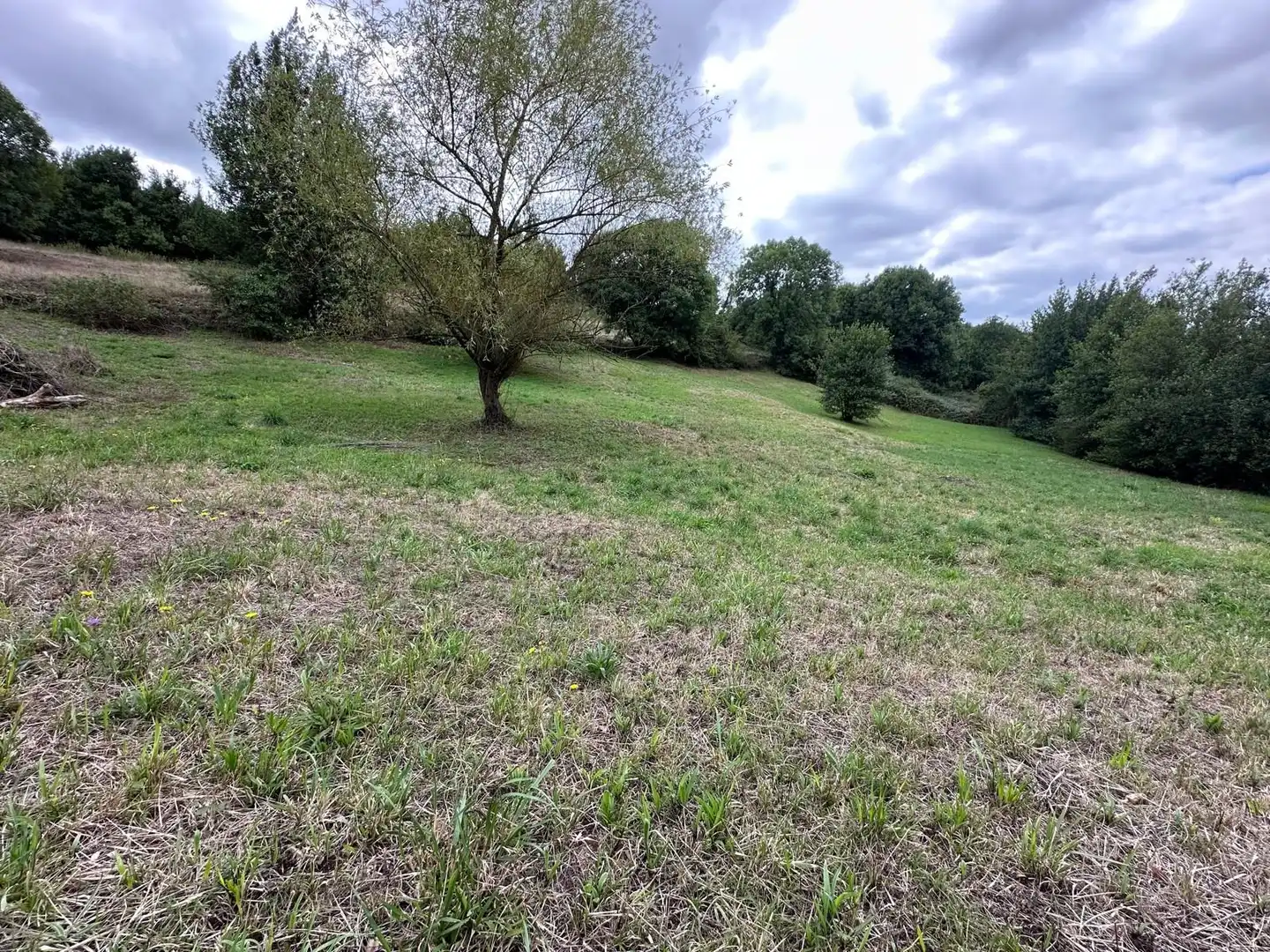 Terreno residencial en venta en Lugar AREÑES, imagen 9