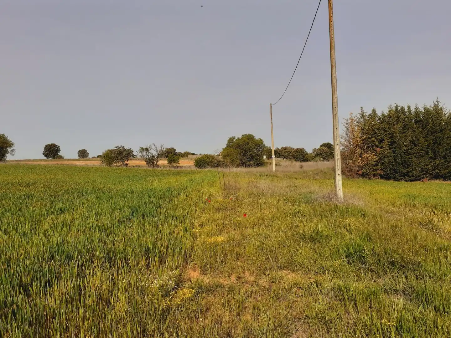 Terreni e lotti in vendita a Área Rural, imagen 6