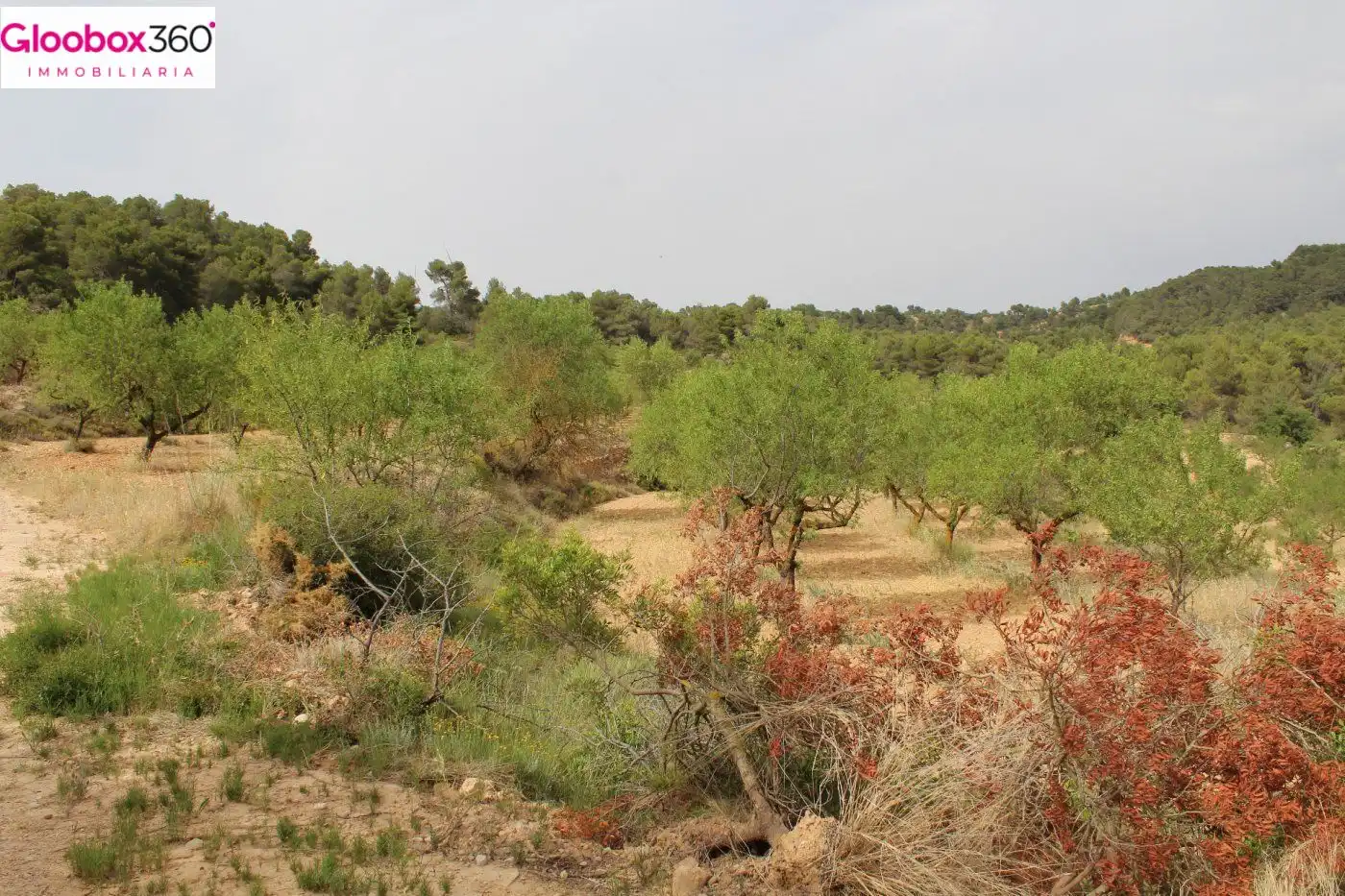 Country homes for sale in Blancafort  with Alarm