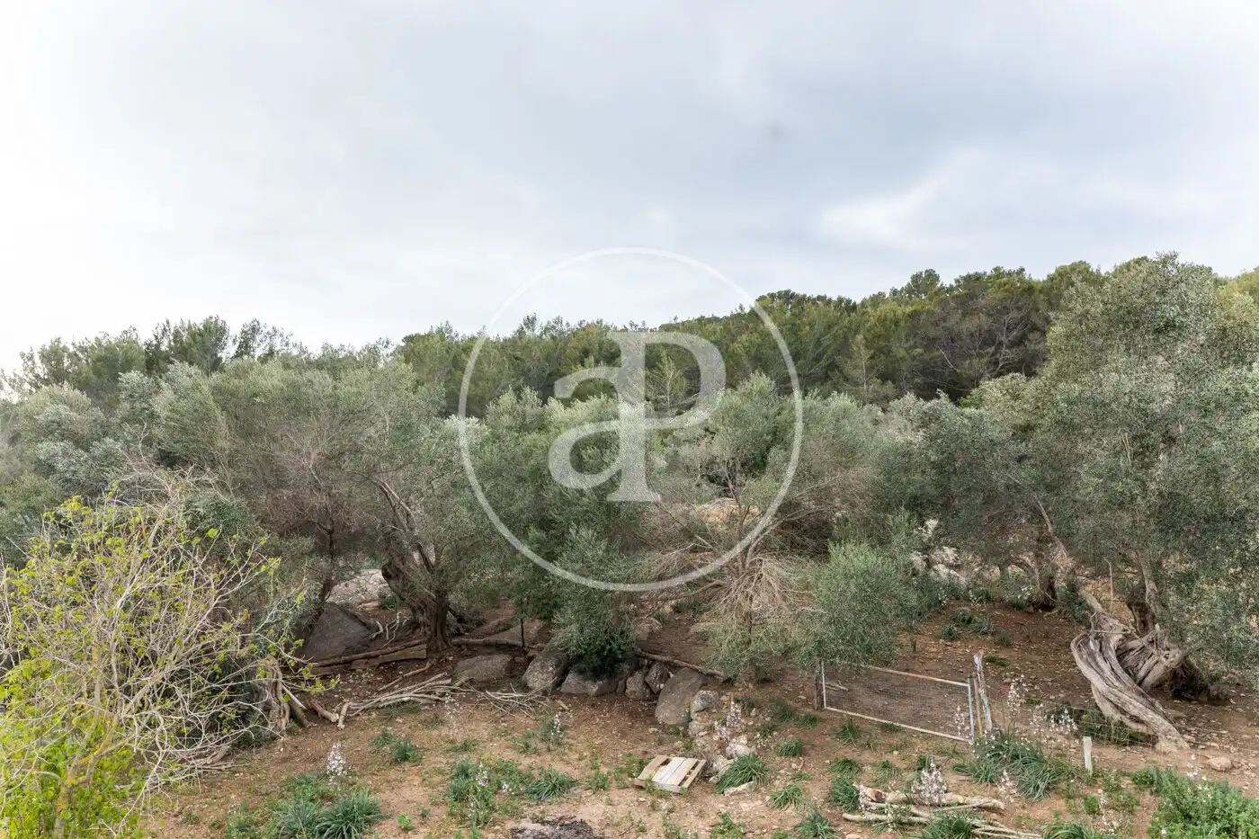 Houses for sale in Banyalbufar  with Private garden and Terrace