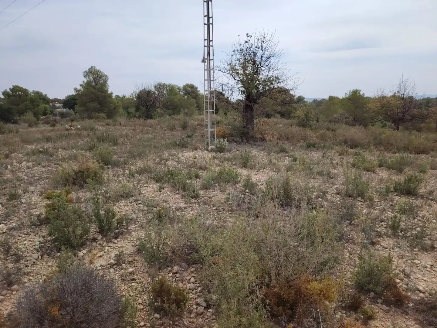 Terreny rústic en venda a Santa Bárbara, imagen 8