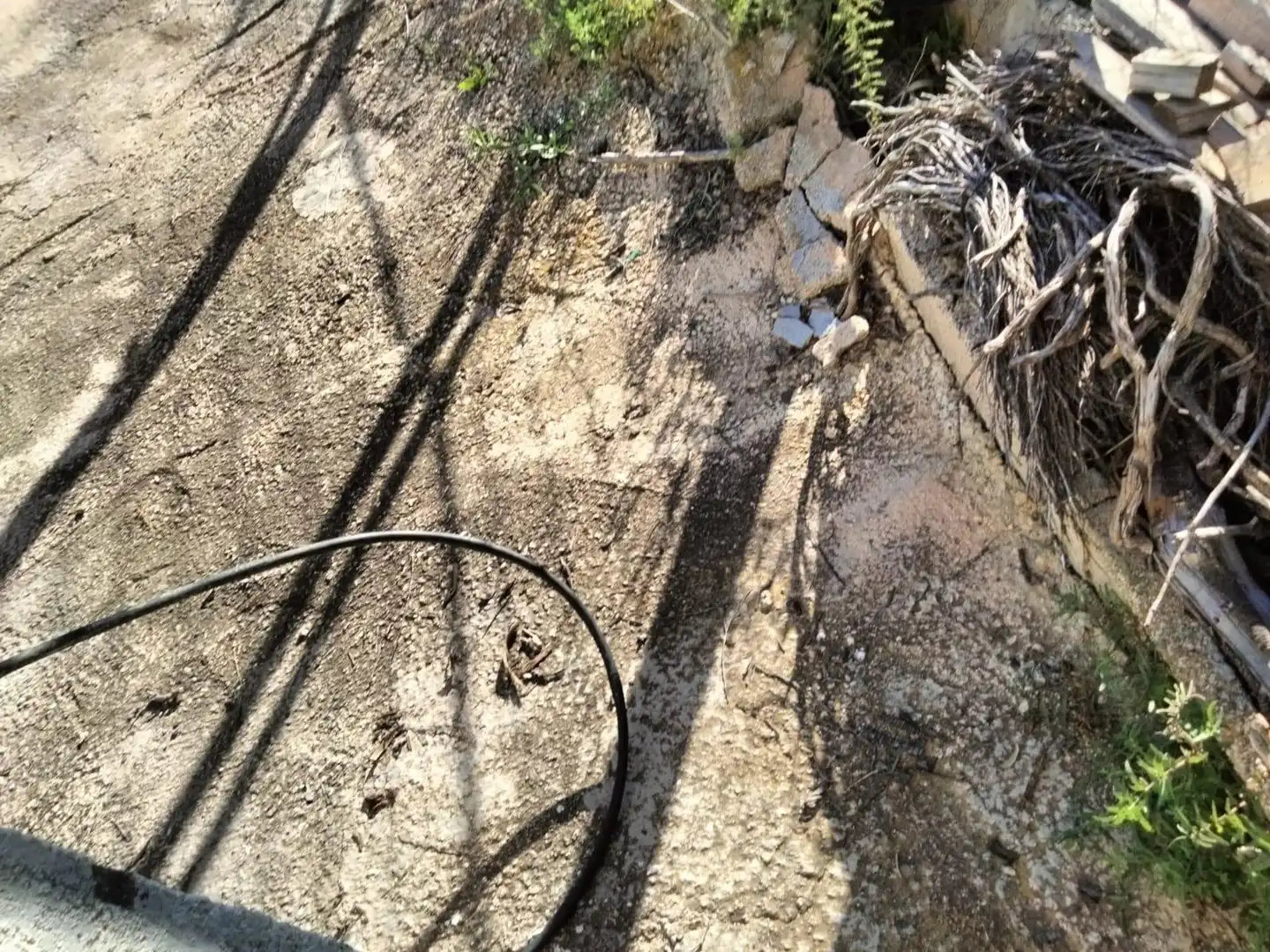 Terrenys i solars en venda a Bullas, imagen 3