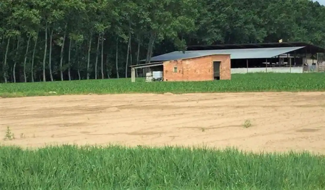 Rustikales Grundstück zum Verkauf in ESTACIO, imagen 9