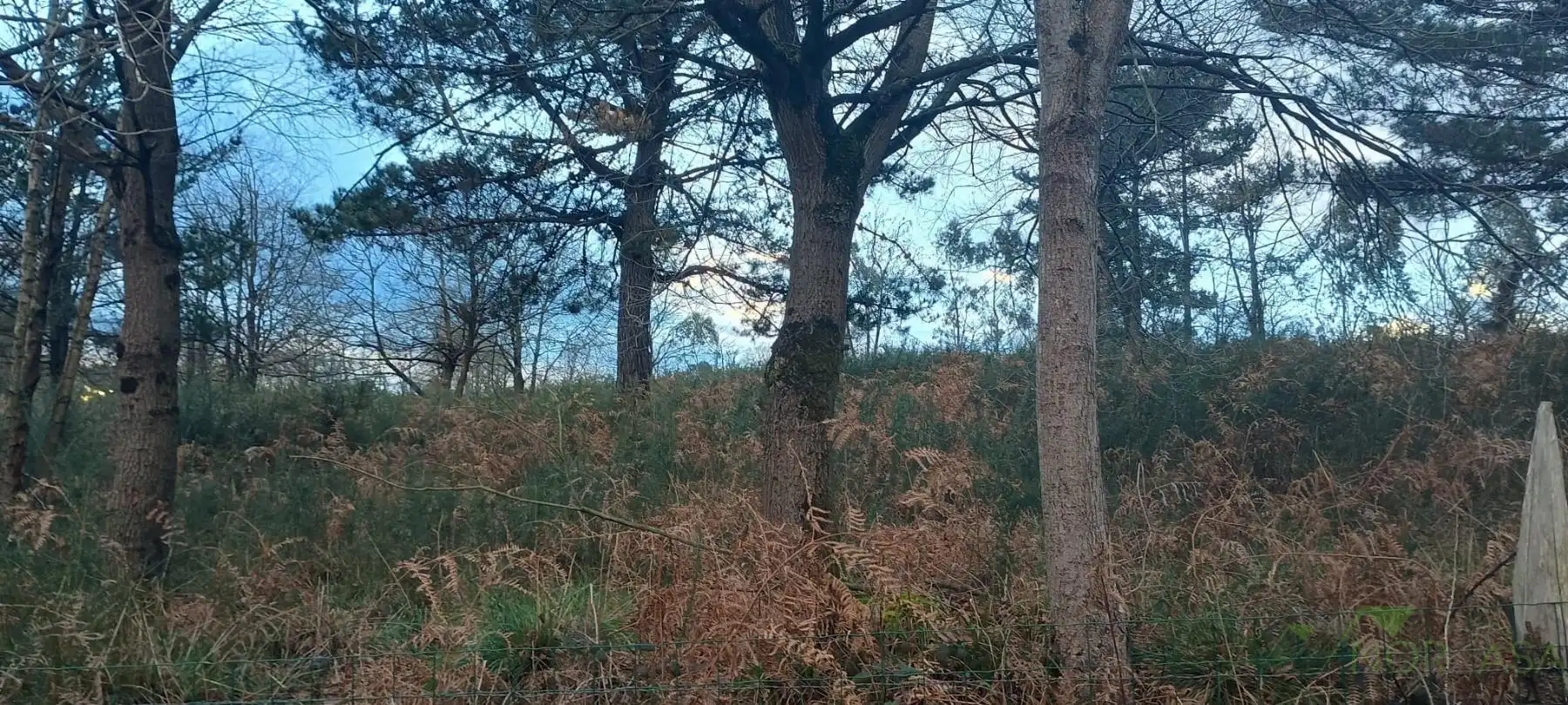 Terrenys i solars en venda a Posada de Llanera, imagen 9