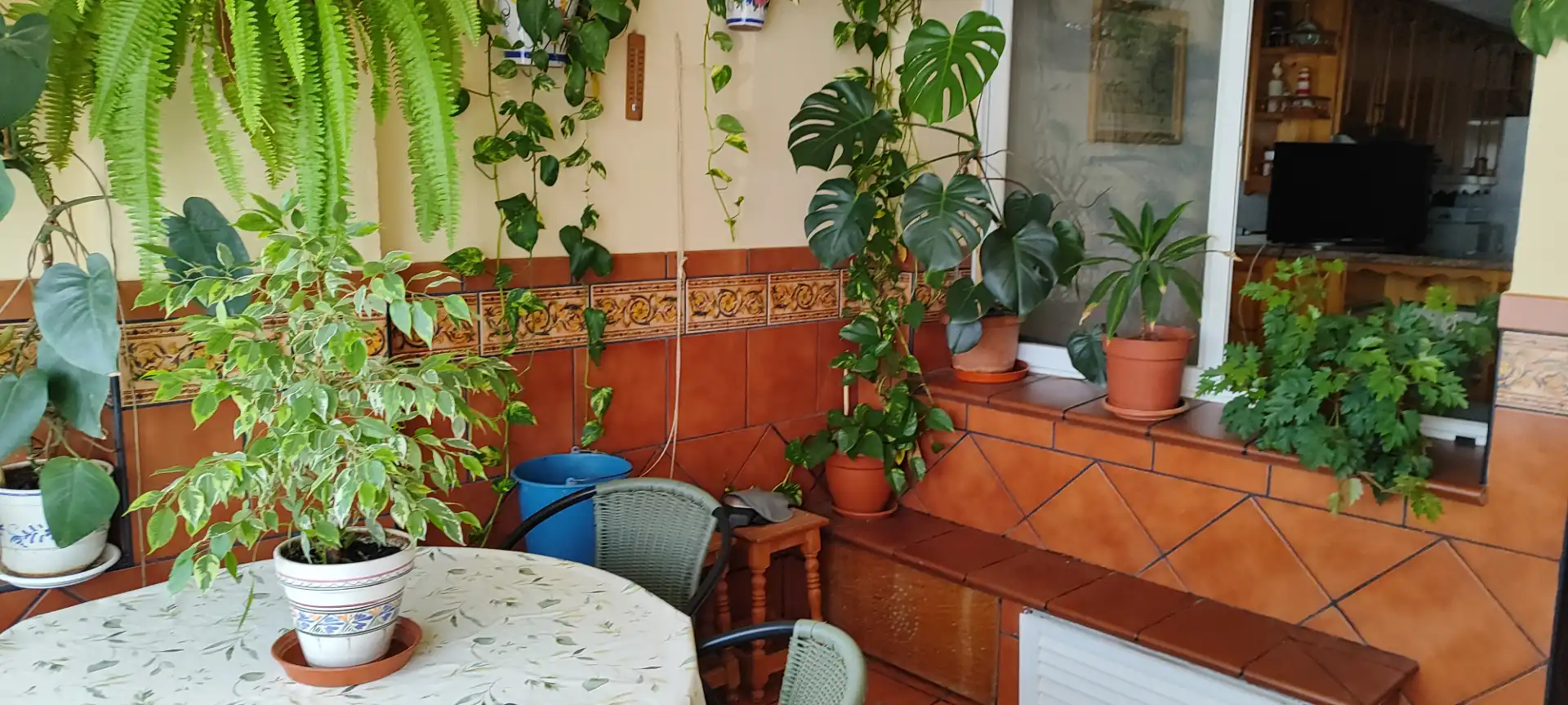 Apartament de lloguer a San García