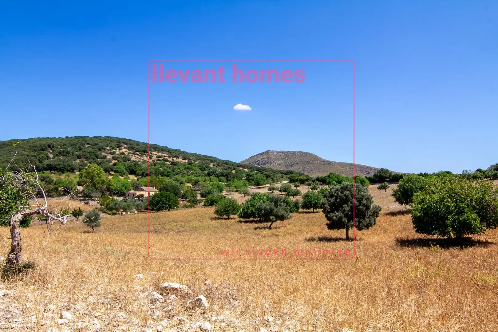 Grundstücke zum Verkauf in Carretera de Carrossa, Sant Llorenç des Cardassar