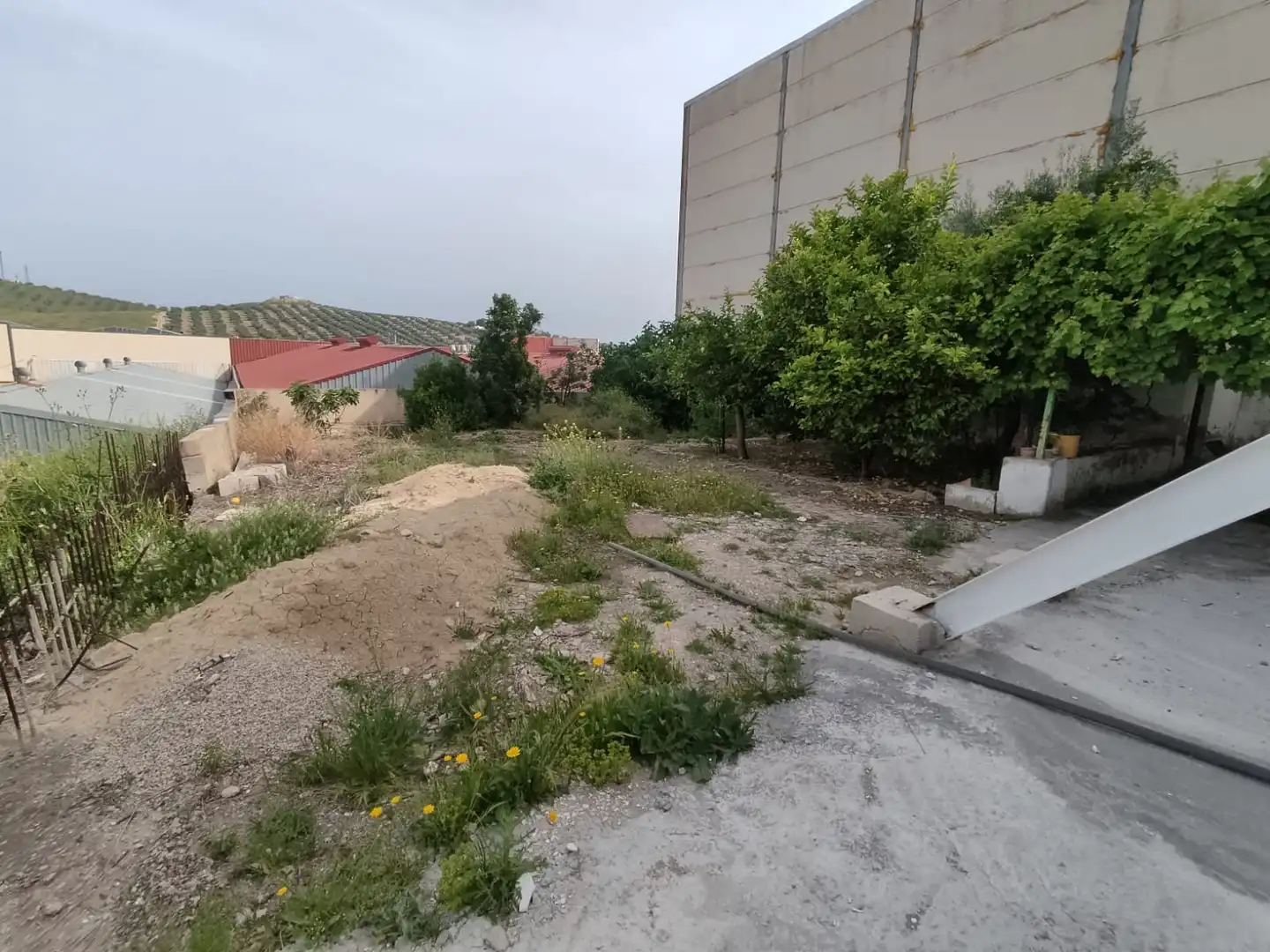 Nave industrial en venta en Jaén