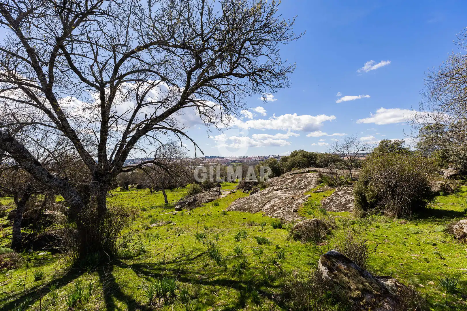 Terreno residencial en venta en La Navata, imagen 7